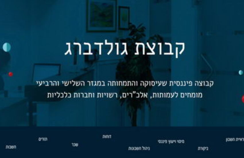 חגי גולדברג ושות' רואי חשבון